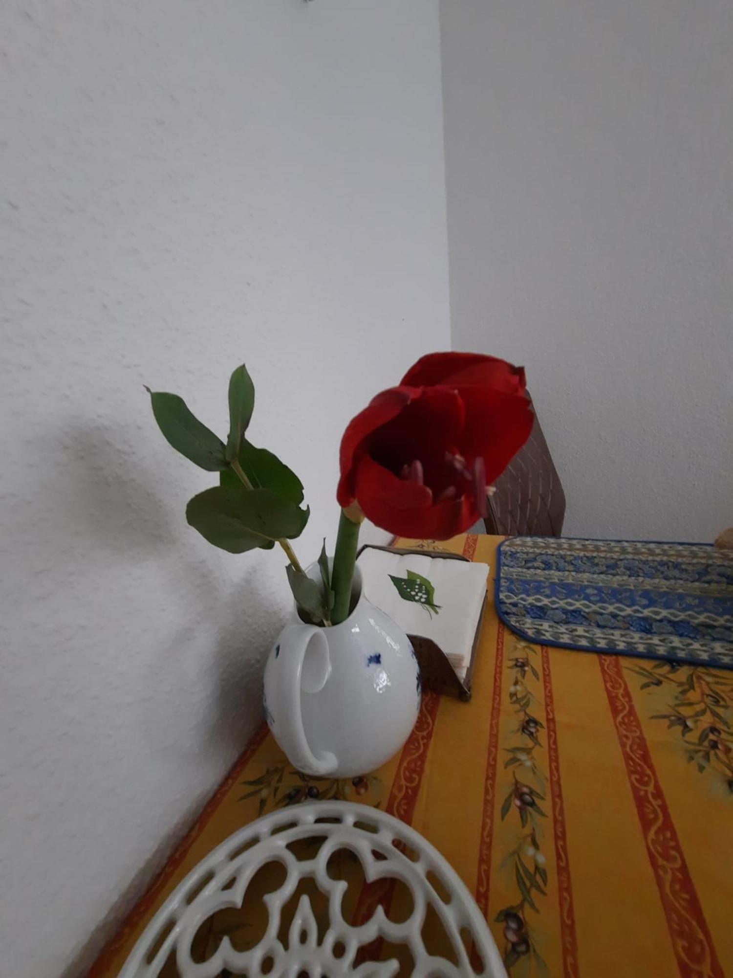 Gemuetliches Nest In Bester Koelner City-Wohnlage Extérieur photo